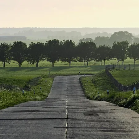 A14 