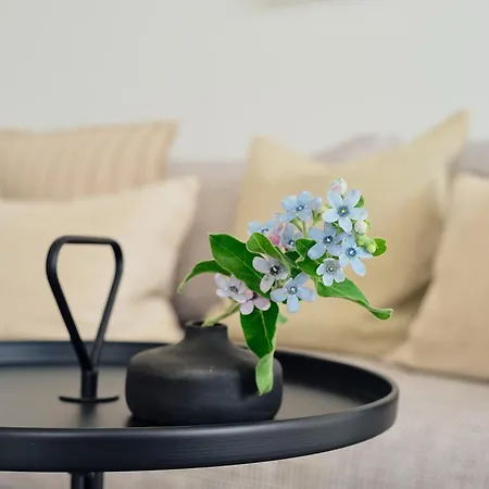 Apartment A14 